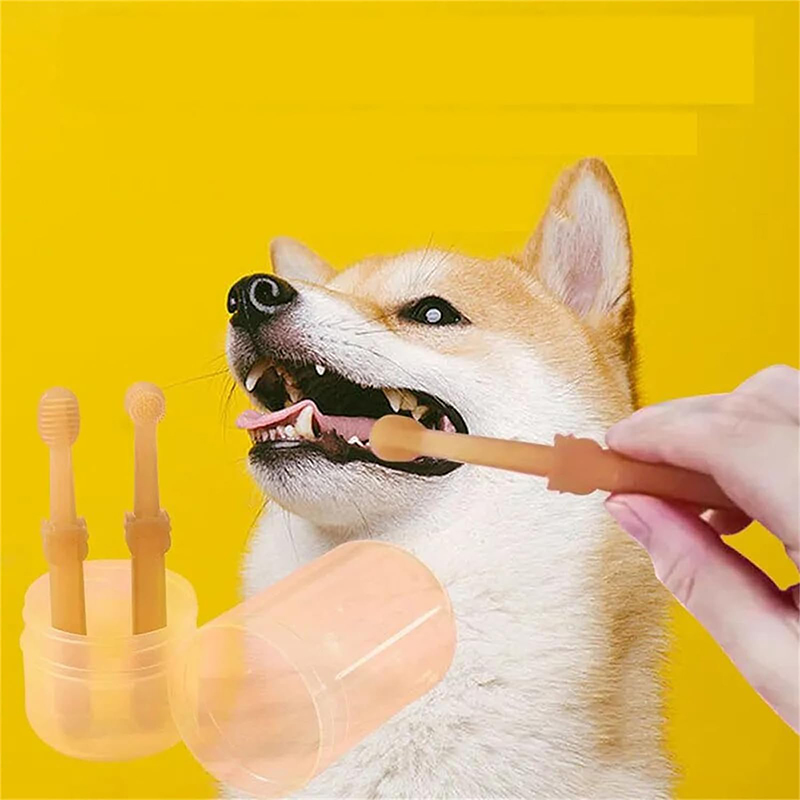 Teeth Whitening Dog Cat Silico - đánh giá và giá Teeth Whitening Toothbrush