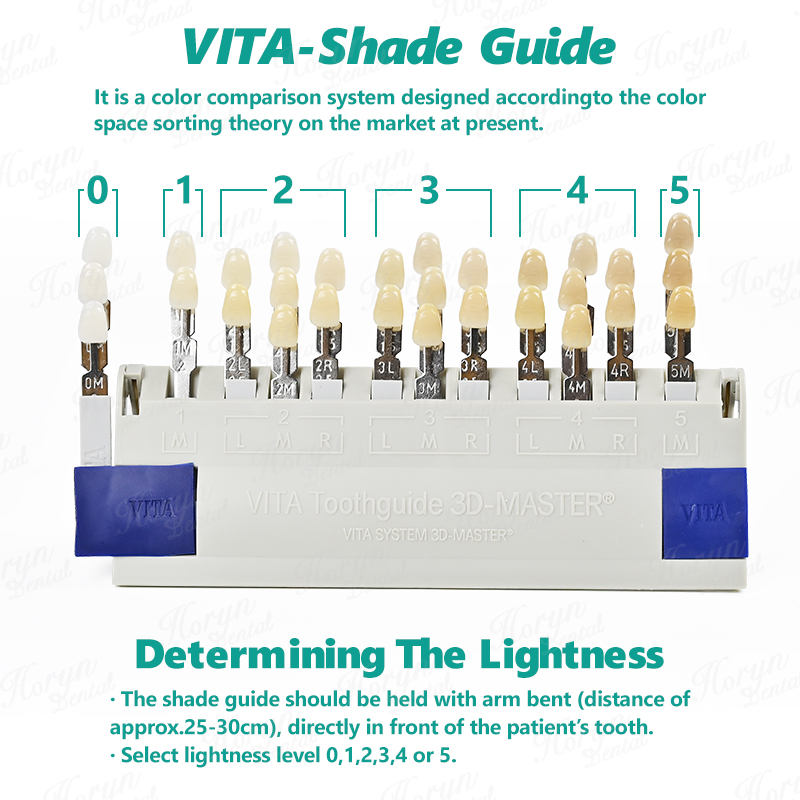 Vita 3D Master Dental Lab Blea - đánh giá và giá Teeth Whitening Gel For Trays
