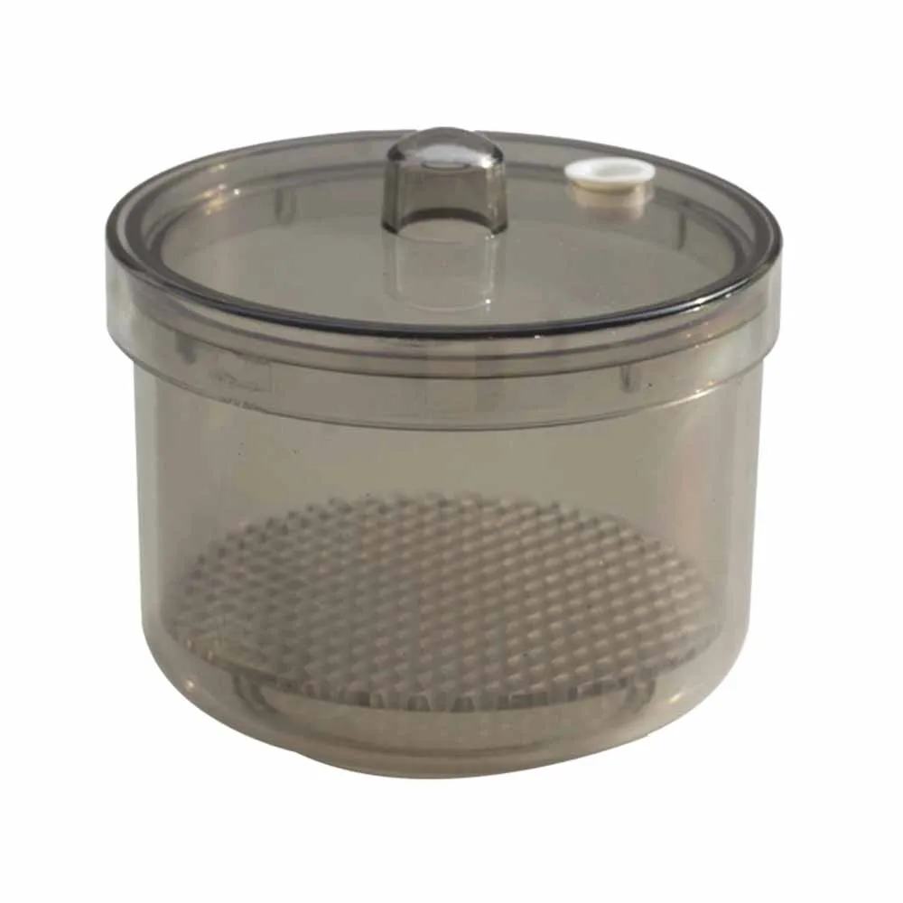 1Pcs AG Dental Disinfection Bo - đánh giá và giá Teeth Whitening Gel For Trays